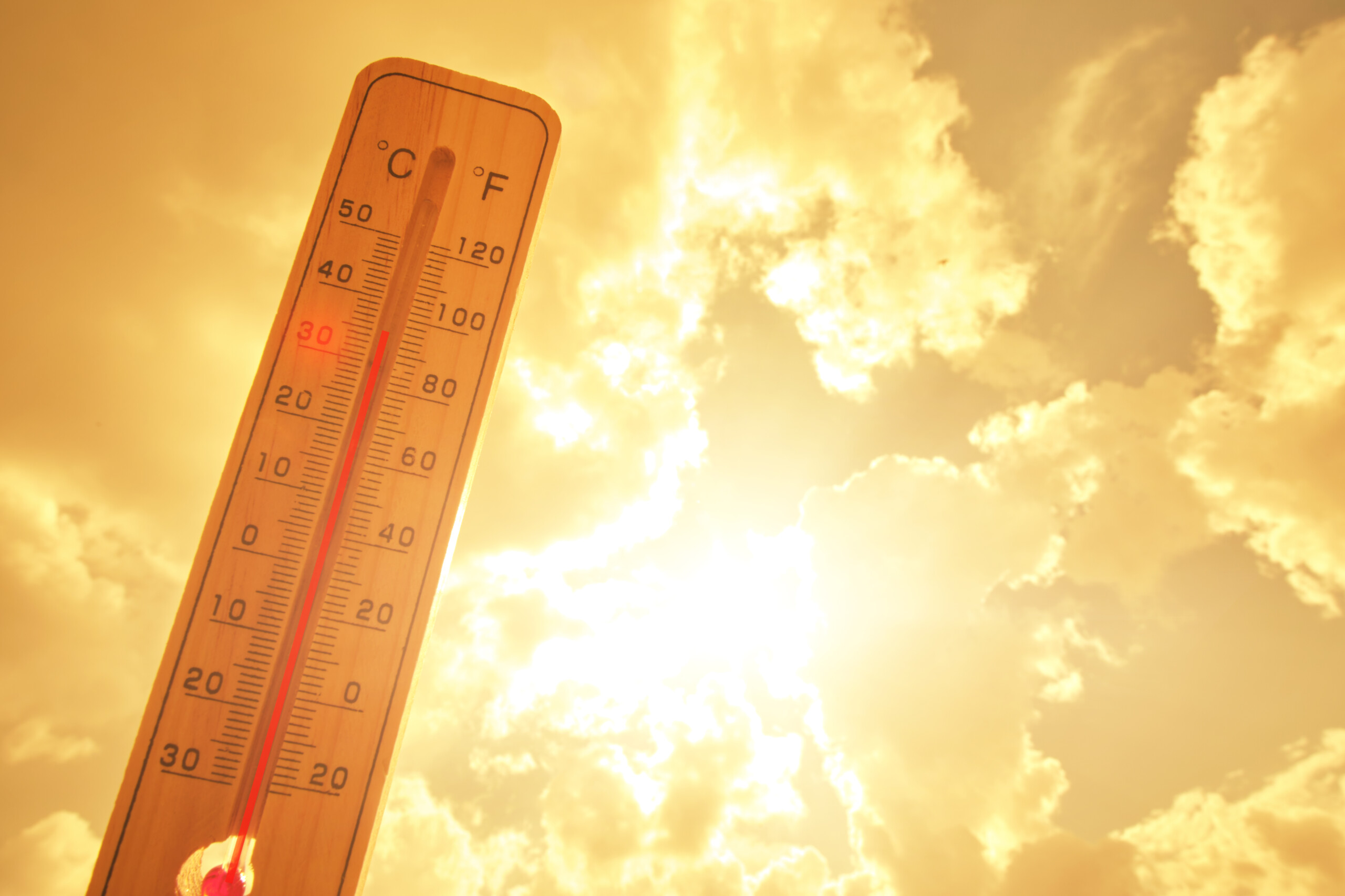 Warm Weather